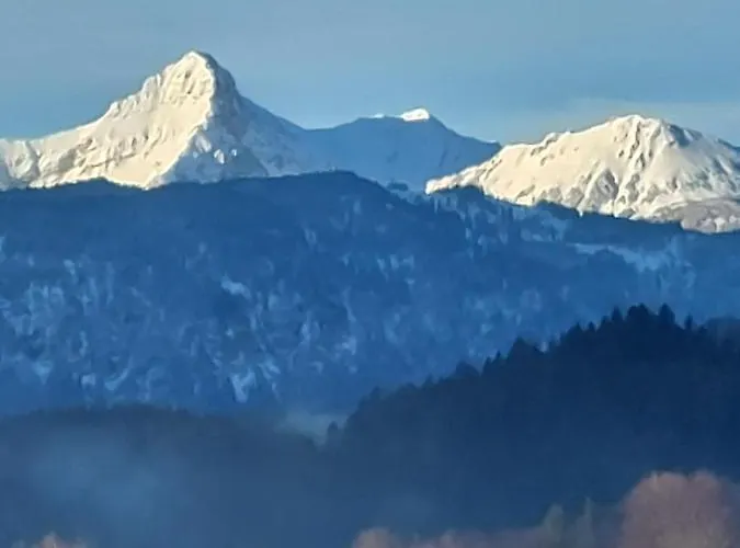 Braeustueberl - Zugspitze شقة جارمش بارتنكيرشن